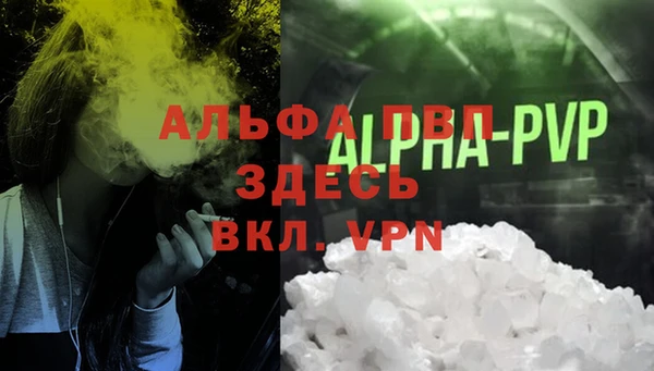 стаф Дмитриев