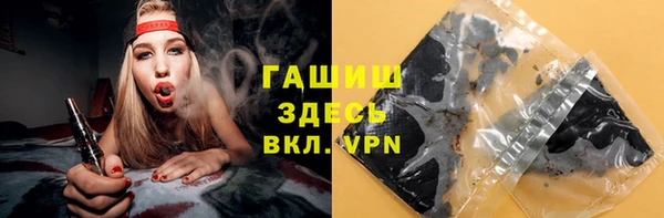 стаф Дмитриев