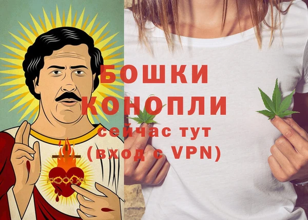 стаф Дмитриев