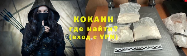 стаф Дмитриев