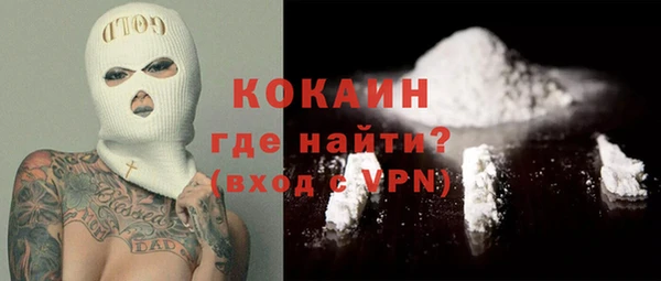 стаф Дмитриев