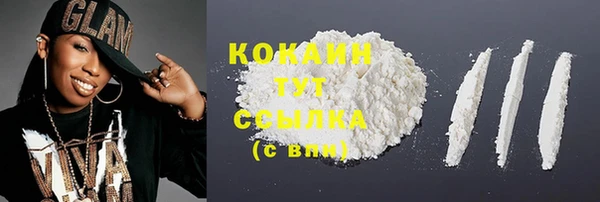стаф Дмитриев