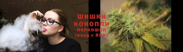 мдпв Дмитров