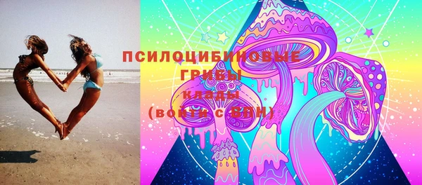 мдпв Дмитров