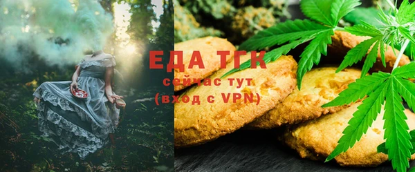 мдпв Дмитров