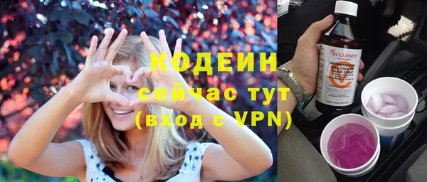 стаф Дмитриев
