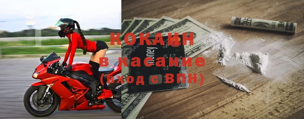 стаф Дмитриев
