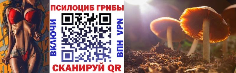 Псилоцибиновые грибы Psilocybe Красноярск